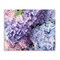 Stupell Industries Pastel Hydrangea Flower Petals Canvas Wall Art
